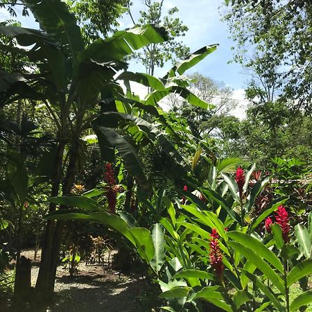 Little Yemanja Bungalow Villa Puerto Viejo de Talamanca Dış mekan fotoğraf